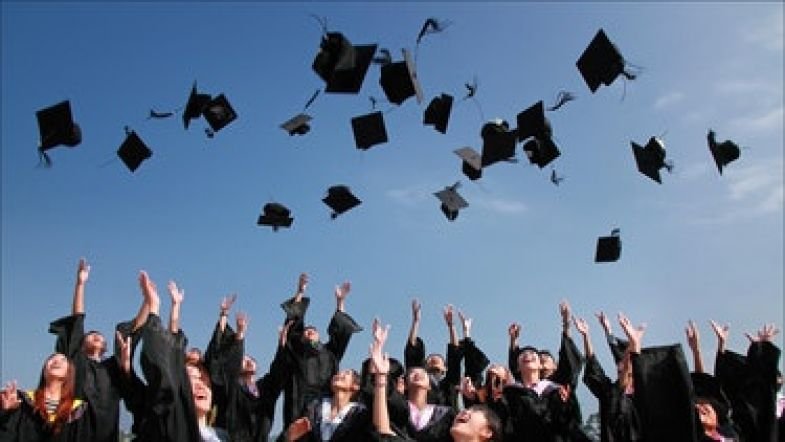 100+ Students Successfully Placed